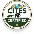 Certification Icon